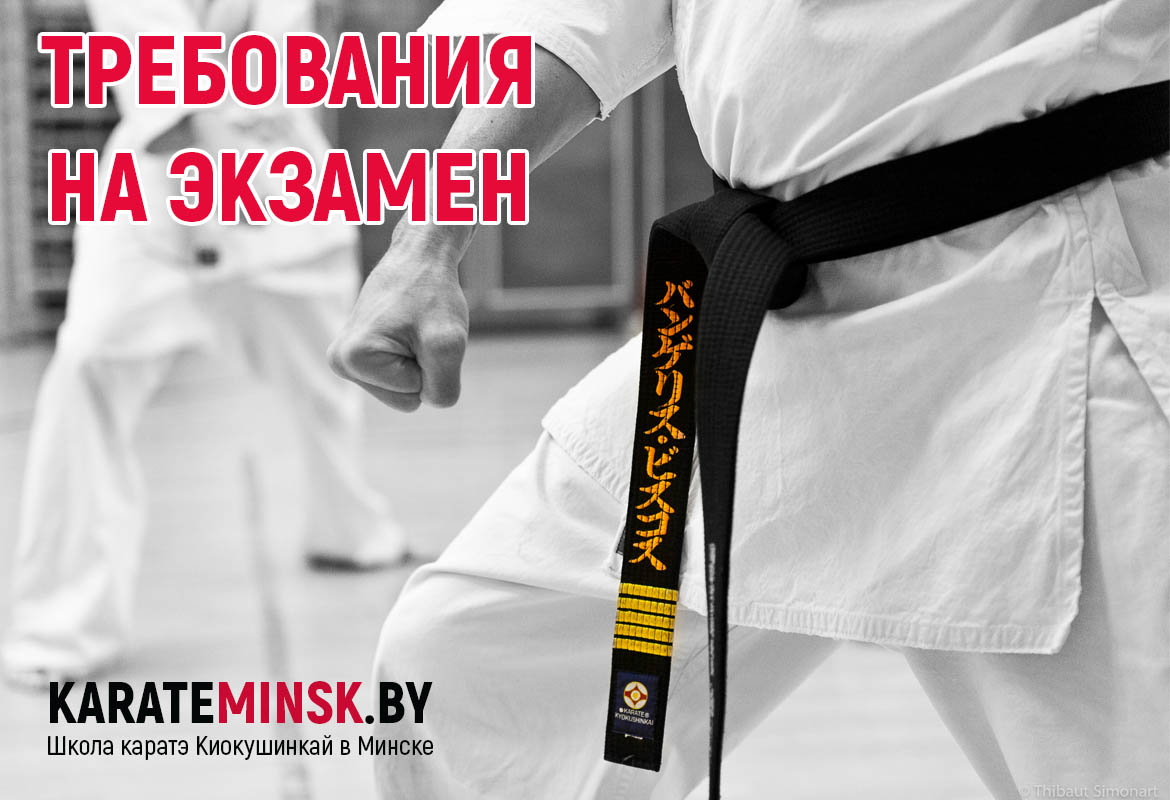 Требования на экзамен Киокушинкай каратэ